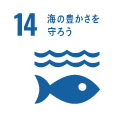 14.海の豊かさも守ろう